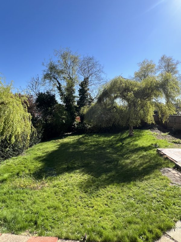 Practice Gallery Image -  Creffield Lodge Dental Practice